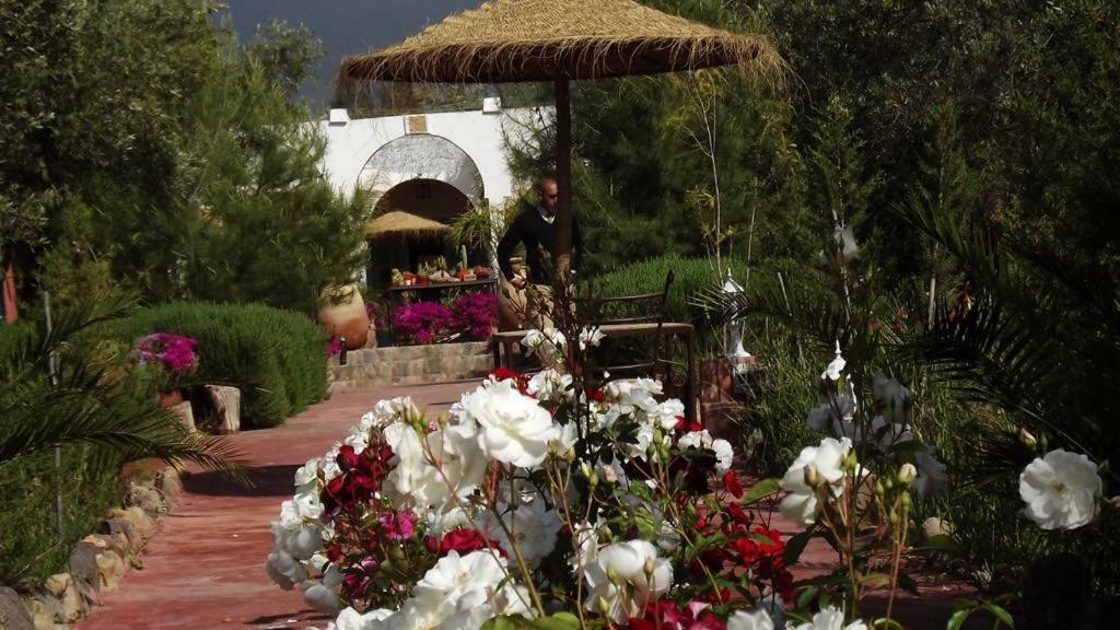 Sel D Ailleurs, Atlas Mountain Retreat - Adults Only Уирган Экстерьер фото